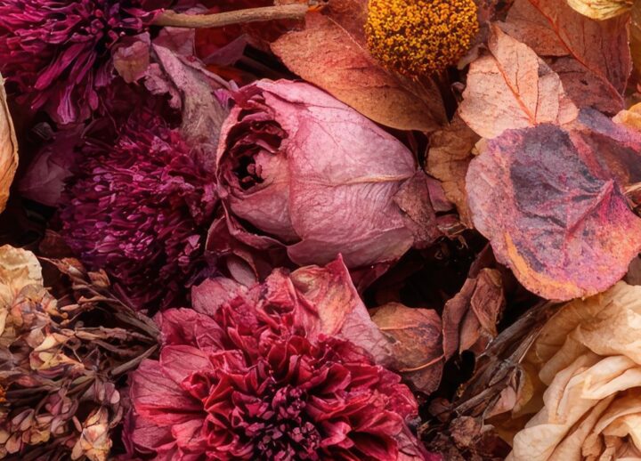 Ram de flors preservades